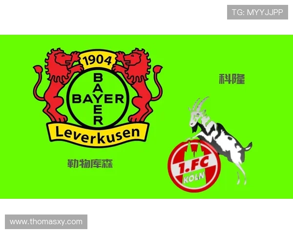 德甲各球队昵称大全：由来与含义一览