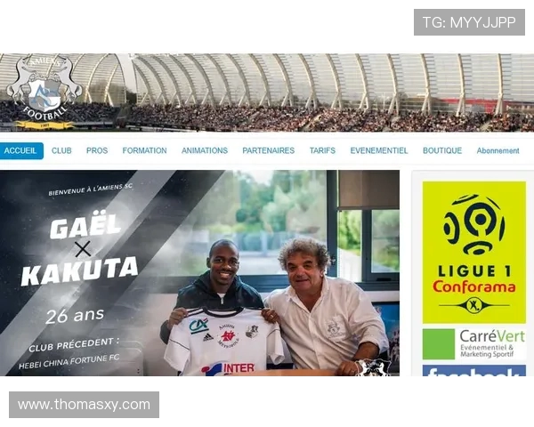 法甲外援市场影响力分析及其对联赛商业价值的贡献